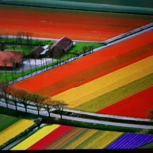 Meet your Posher, Ian